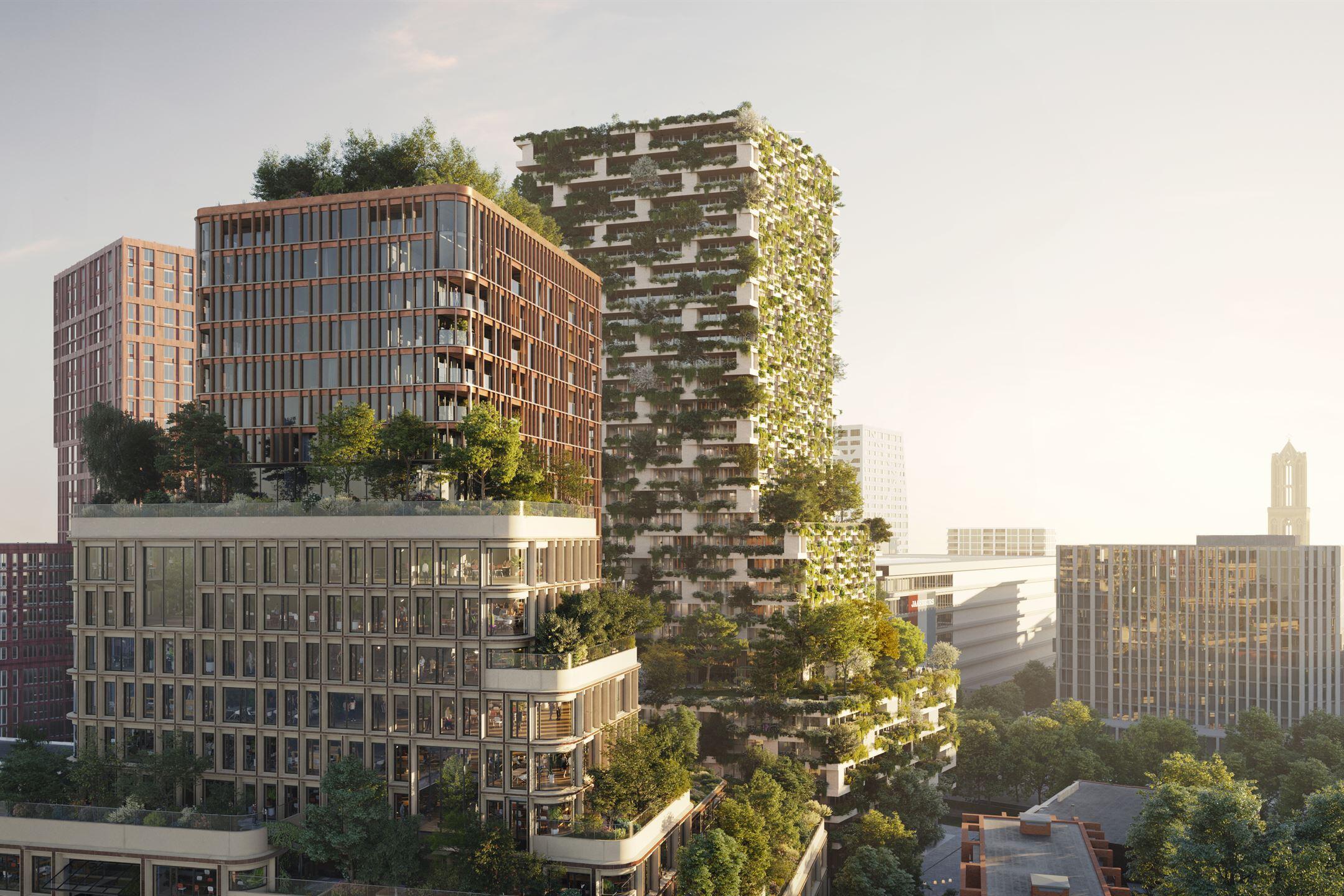 Healthy Urban Quarter: Wonderwoods 